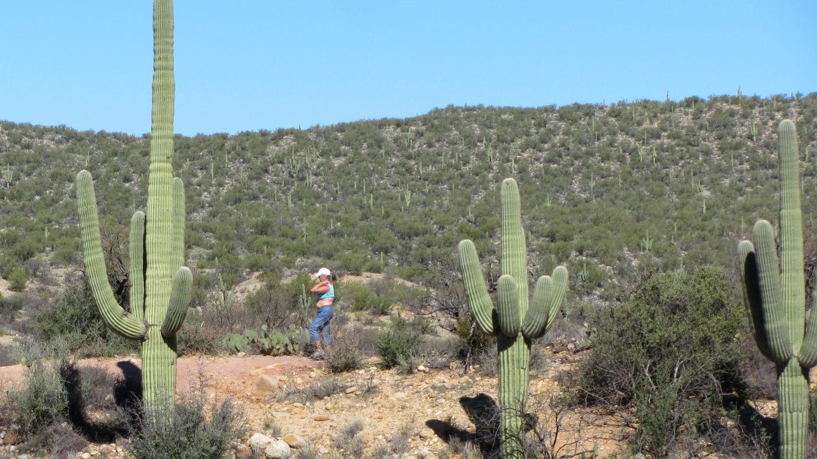 Tucson weather: Dry conditions continue through Sunday